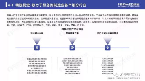 2019年人工智能行業(yè)現(xiàn)狀與發(fā)展趨勢(shì)報(bào)告 聚焦基礎(chǔ)軟件開(kāi)發(fā)