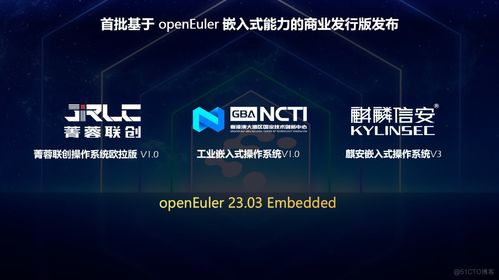 OpenEuler年度盛會(huì) AI基礎(chǔ)軟件開(kāi)發(fā)的突破與展望
